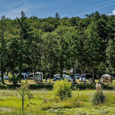 Campingplads Camping Osenbach 3*