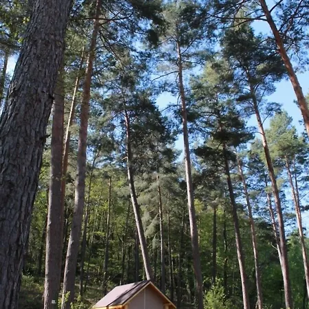 Campingplads Camping Osenbach Osenbach