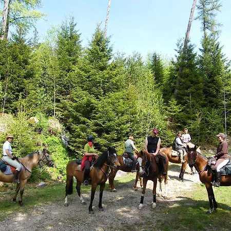 Camping Osenbach Camping Osenbach