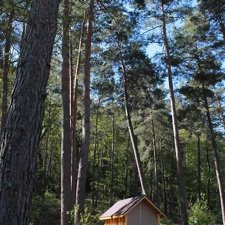 Campingplads Camping Osenbach 3*