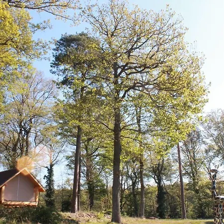 Camping Osenbach Osenbach